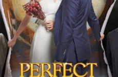 Perfect Marriage Revenge