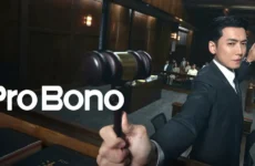 Pro Bono